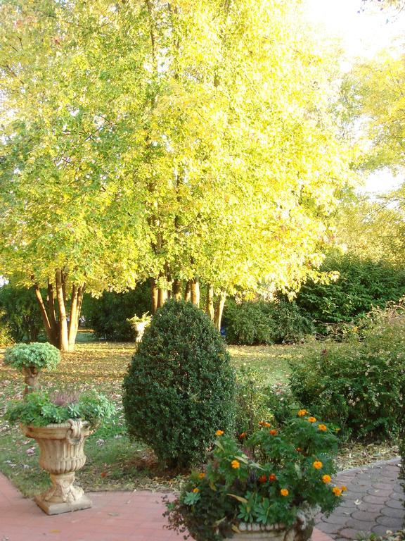 La Corte Del Cavaliere Bed & Breakfast カルデラーラ・ディ・レーノ エクステリア 写真